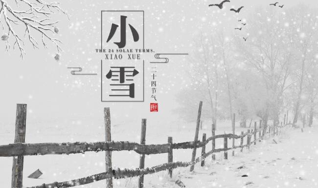 紙托盤(pán)